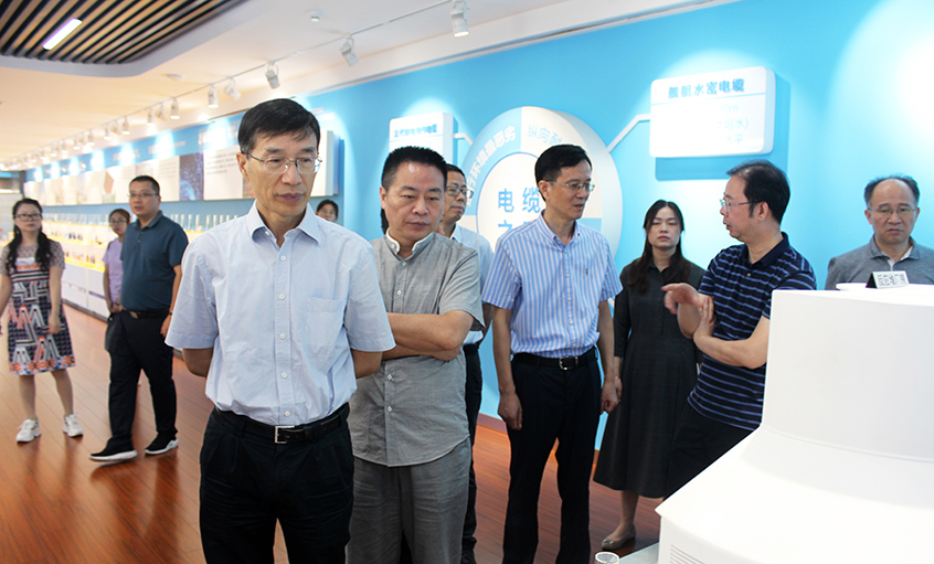 江(jiang)蘇省财政廳一(yi)級巡視員(yuan)李載林一(yi)行來上上電(dian)纜參觀交流